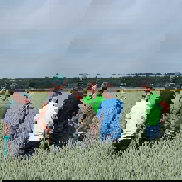 en gruppe mennesker, der står på en mark