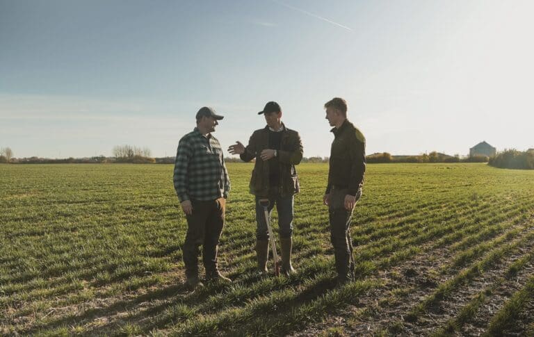 Skårlægning af korn for at fremrykke høsttidspunkt