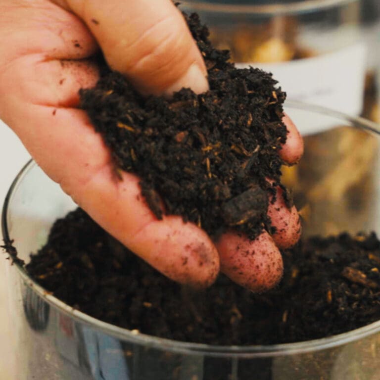 Bestøverbrak til forbedring af jordstrukturen