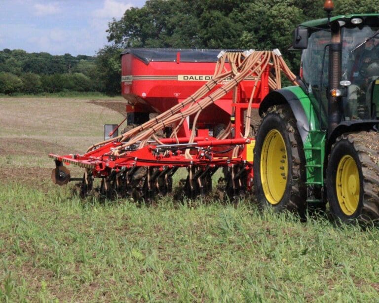 No-till etablering af spinat