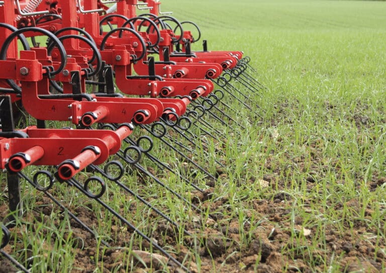 Ukrudtsbekæmpelse i hestbønne