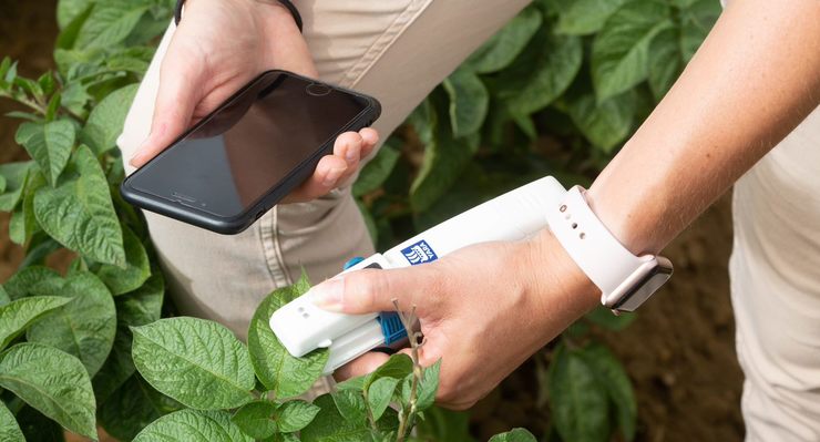 Næringsstoffer og planteanalyser for bedre plantesundhed i vinterhvede