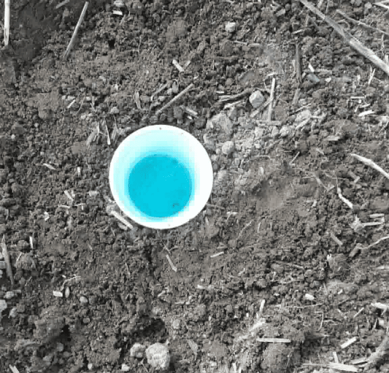 Indsamling af insekter i et krus gravet ned i marken